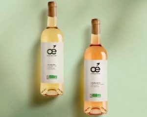Vin blanc chardonnay bio Oé