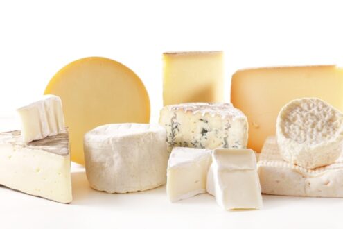 selection of various french cheese portion isolated on white background selection of various french cheese portion isolated on white background